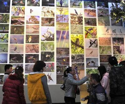 工廠礦山也能變景區(qū)？國(guó)家工業(yè)遺產(chǎn)旅游基地名單出爐 市場(chǎng)營(yíng)銷策劃篇